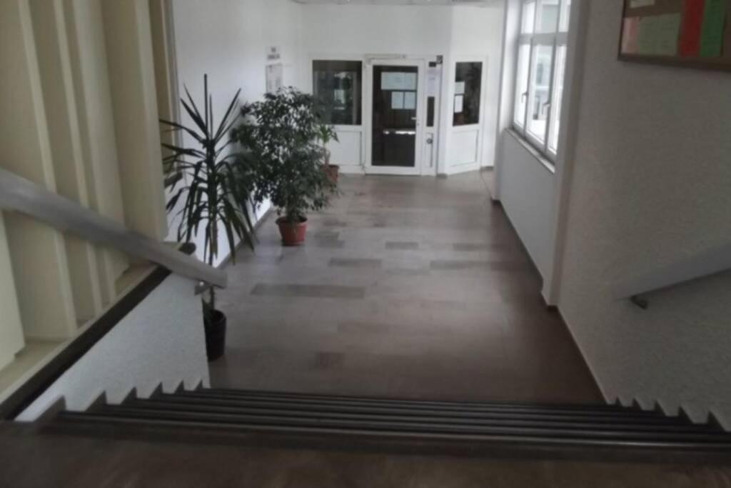 Moderne Ferienwohnung Mit Wlan+Schwimmbad+Sauna Hohegeiß Eksteriør bilde